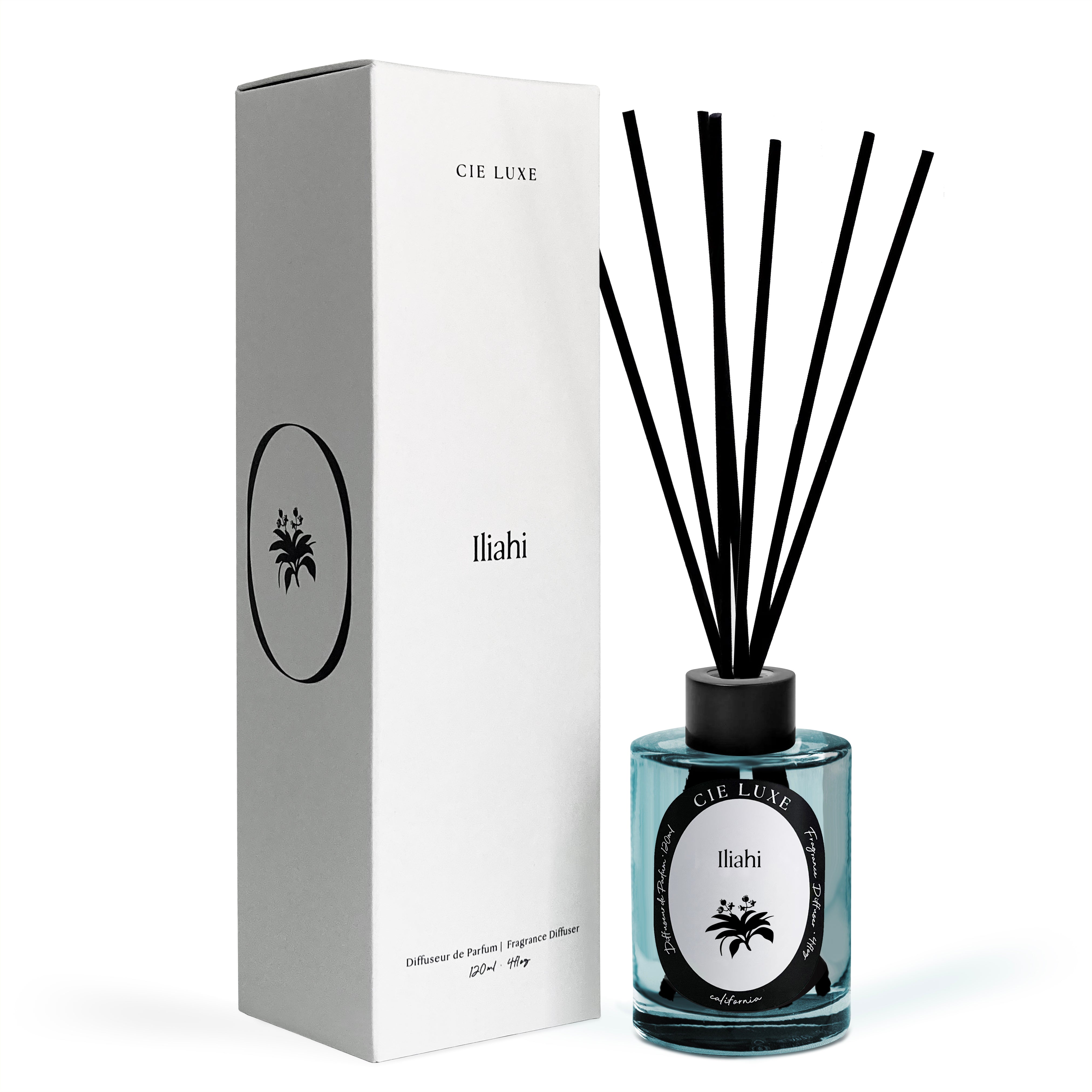 その他 visvim FRAGRANCE DIFFUSER lilikoi visvim.ヴィズヴィム.正規取り扱い店、通販可能 ON LINE SHOP