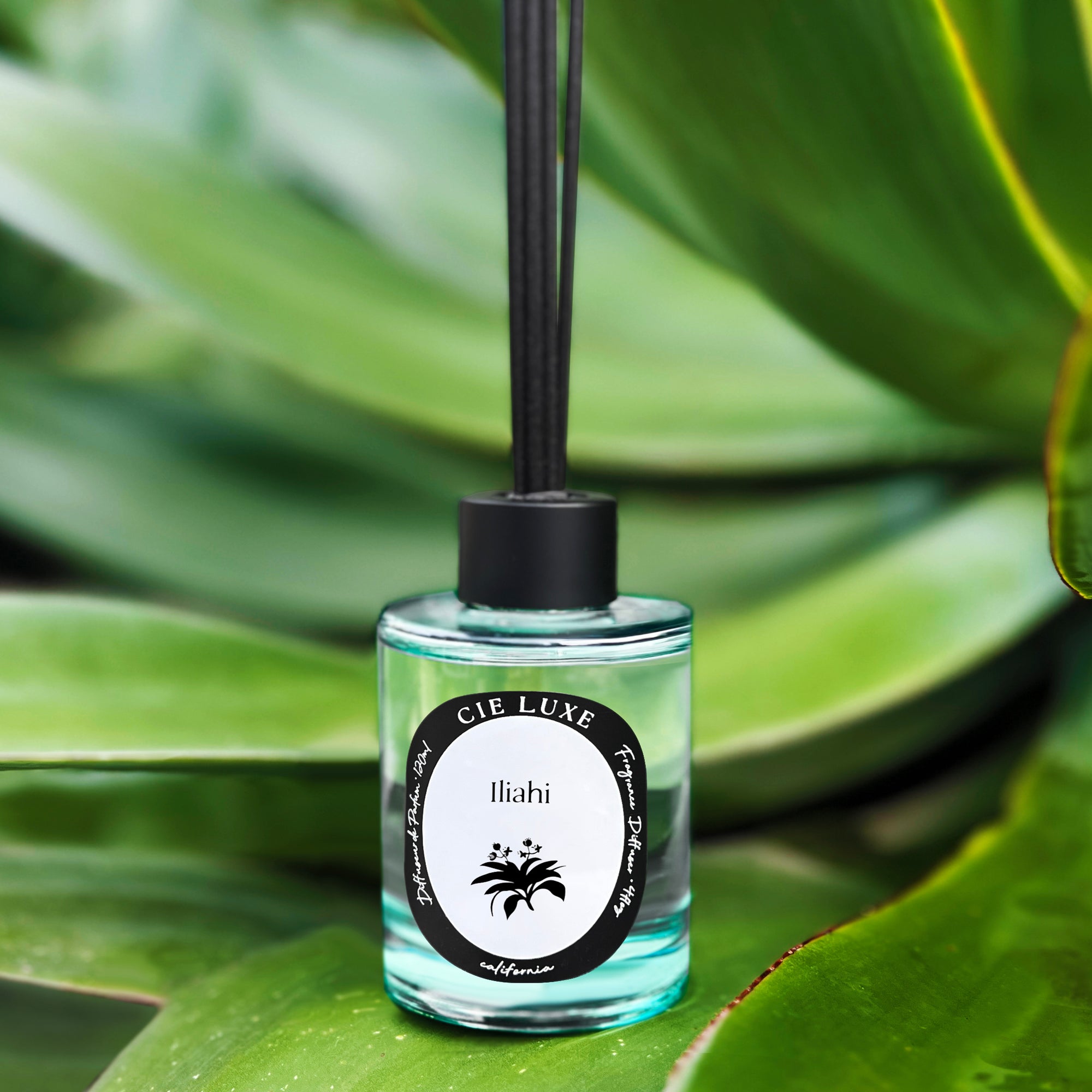 その他 visvim FRAGRANCE DIFFUSER lilikoi ILIAHI – cieluxecalifornia